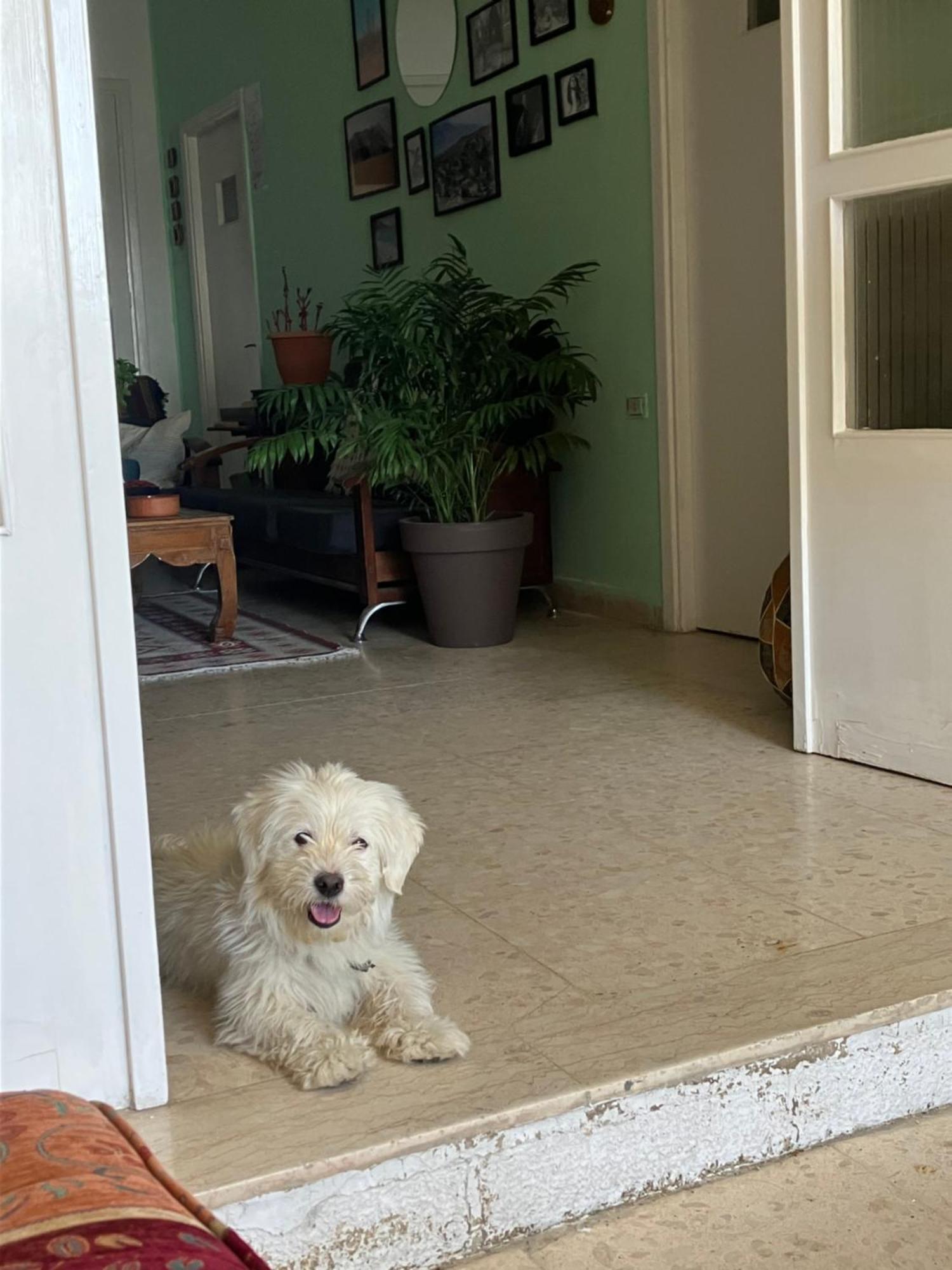 Darna Hostel Amman Dış mekan fotoğraf